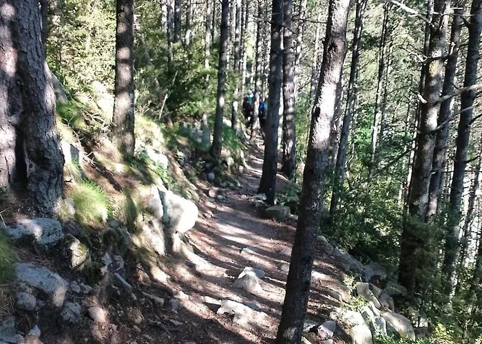 Ca L'estrella Сasa de vacaciones Queralbs (Caralps)