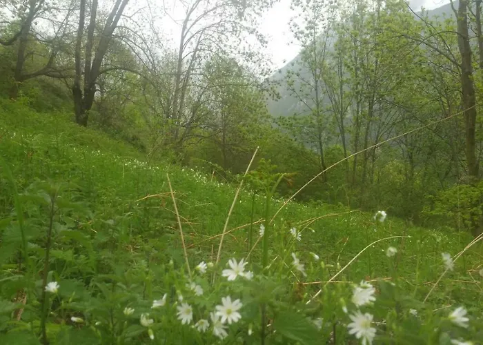 Ca L'estrella * Queralbs (Caralps)