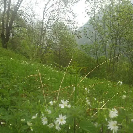 Ca L'estrella * Queralbs
