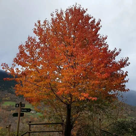 Ca L'estrella Queralbs
