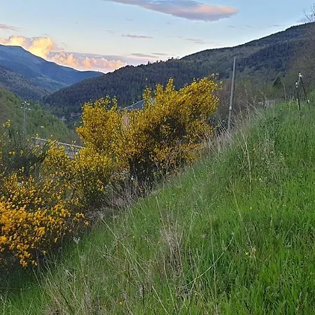 Ca L'estrella
